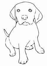 Labrador Coloring Pages Print sketch template
