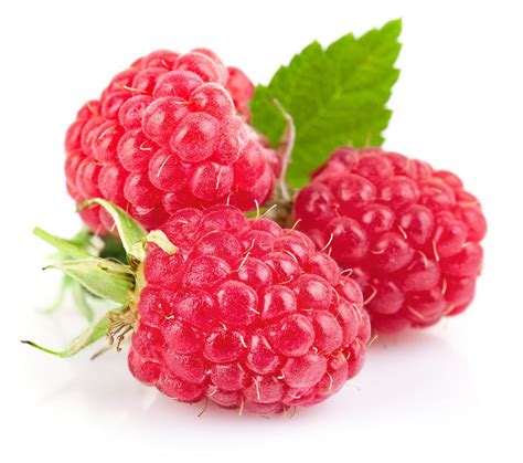 healthy tips   top  health benefits  raspberries