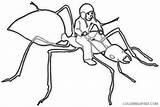 Ant Coloring Ants Coloring4free Related Posts sketch template