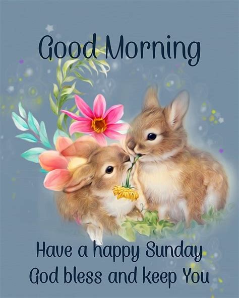 bunny good morning happy sunday pictures   images  facebook tumblr happy