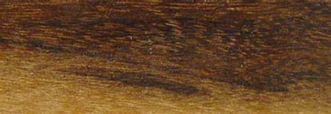 greenheart hardwood lumber ocotea rodiaei   family lauraceae