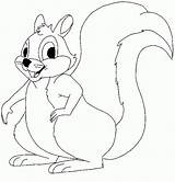 Squirrel Coloring Pages Color sketch template