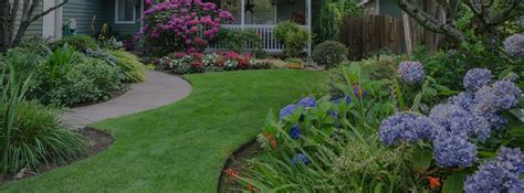 lawn care  landscaping companies