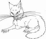 Scourge Lineart Cats Warrior Cat Pages Fire Coloring Template Feathers Night Deviantart sketch template