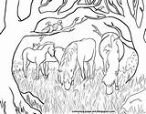 Dartmoor Ponies Colouring sketch template