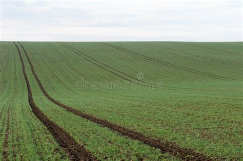 tractor tracks stock image image  meadow track farming