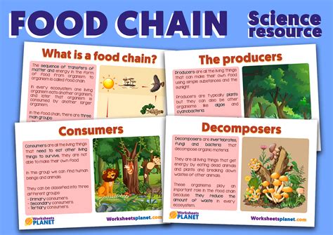 organisms produce   food   organisms