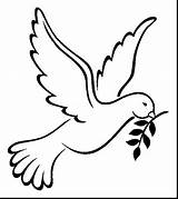 Dove Coloring Peace Mourning Pages Bird Drawing Olive Ballzbeatz Outline Branch Kids Template Printable Color Print Sticker Decals 58kb 1267 sketch template