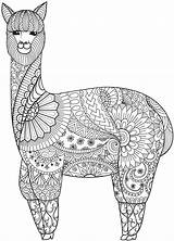 Mandala Llama Alpaca Tribal Patterned Decal Sticker Vinyl sketch template