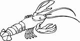 Outline Crawfish Crayfish Colouring Trap Lobsters sketch template