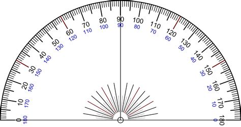 sunnyland  grade   protractor