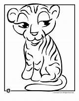 Tiger Coloring Cub Pages Cartoon Drawing Girl Cliparts Animal Tigers Baby Outline Cute Printable Sheets Hat Party Clipart Kids Years sketch template