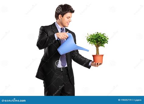 portrait   businessman holding  flower pot stock image image