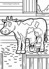 Bauernhof Kuh Melken Malvorlagen Ausmalbilder Boerderij Ausmalbild Ausmalen Ausdrucken Dieren Bauernhoftiere Koeien Drucken sketch template