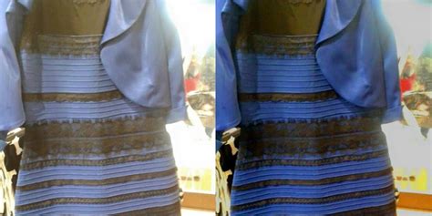 viral tale   color  stupid dress   daily dot