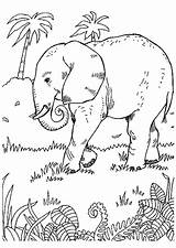 Savane Coloriage Elephant La Jungle Sur Dessin Animaux Colorier Coloring éléphant Dans Un Animal Hugolescargot Et Coloriages Pages Template Credit sketch template
