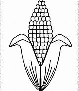 Corn Coloring Field Amazing Getdrawings Getcolorings Color sketch template