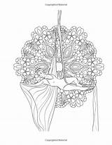 Aerial Silks Coloring Pages Silk Amazon Printable sketch template