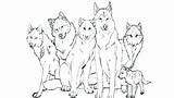 Coloring Pages Wolf Realistic Printable Red Color Getdrawings Getcolorings sketch template