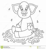 Puddle Piggy Sits Coloring Funny Water Cute Vector Illustration Pig Children Book sketch template