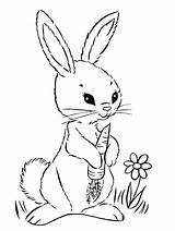 Pages Hares Hase Gaddynippercrayons Malvorlagen sketch template