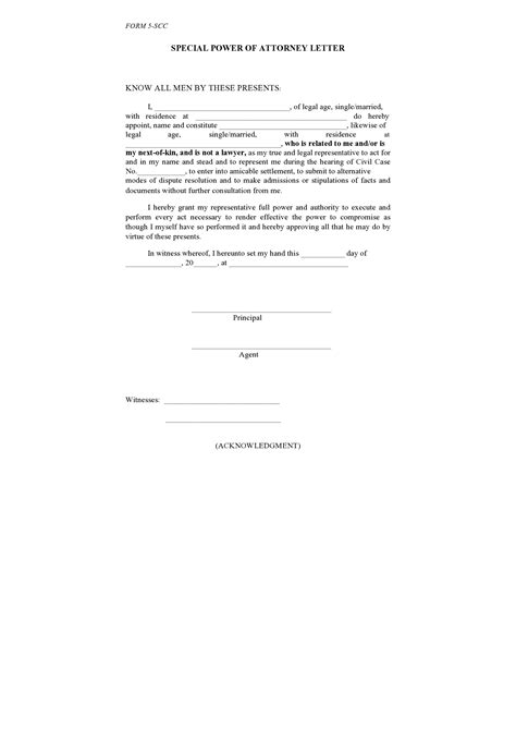 professional power  attorney letters examples