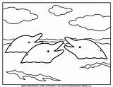 Dolphins Outlines sketch template