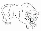 Florida Panther Coloring Getdrawings Pages Getcolorings sketch template