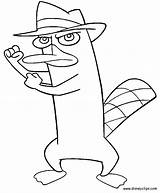Coloring Pages Platypus Ferb Phineas Comments Perry Library Coloringhome sketch template