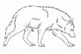 Wolf Lineart sketch template
