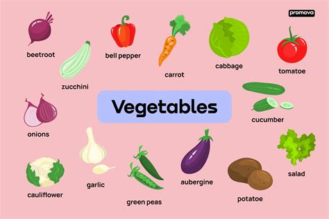vegetables vocabulary  idioms  english