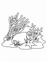 Coloring Pages Seaweed Coral Printable Print Color Kids sketch template