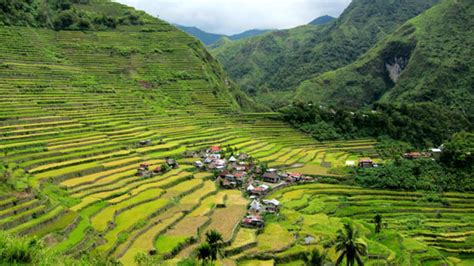 stairways to the sky sustainability and rice in the
