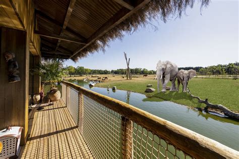 west midland safari park overnight lodges open  bookings express