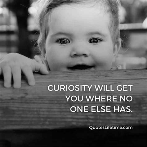 curiosity quotes  curious people