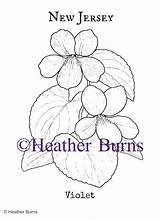 Violet Flower Coloring Jersey State Getdrawings Getcolorings Colorings sketch template