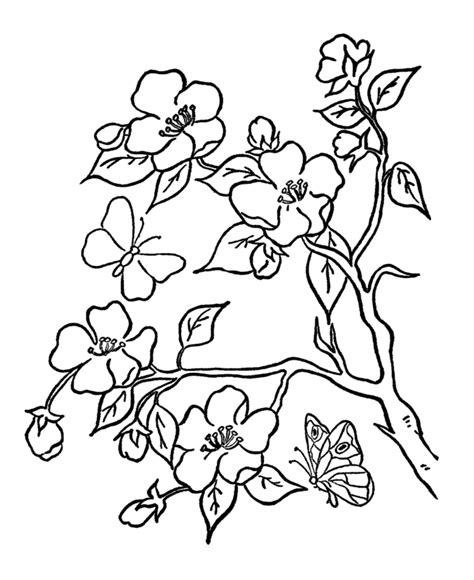 flower shapes coloring home
