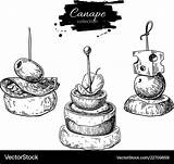 Appetizer Food Canape Vector Snack Drawings sketch template