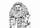 Coloring Potter Harry Pages Hagrid Rubeus Printable Hogwarts sketch template
