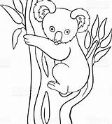 Koala Coloring Pages Cartoon Baby Simple Printable Drawing Cute Goomba Mario Moose Kids Color Animal Getdrawings Getcolorings Doodle Print Colorings sketch template