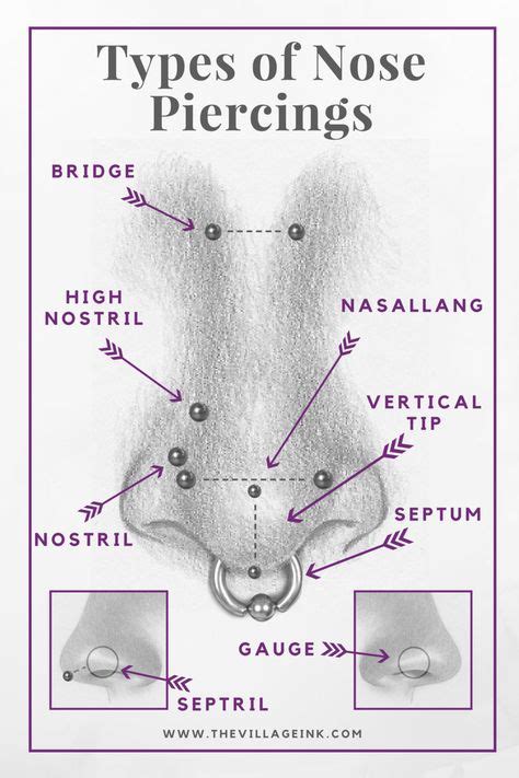 nose piercing  chart