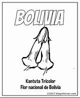 Kantuta Bolivia Escudo Bandera Tricolor Nacionales sketch template