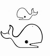 Whale Coloring Pages Kids Printable sketch template