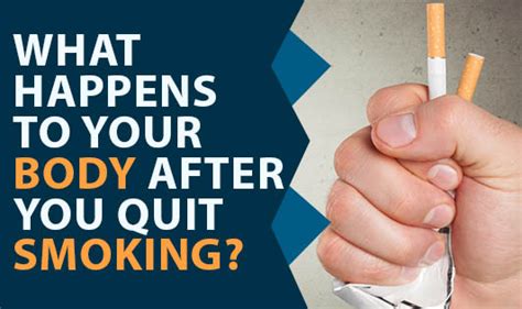 what happens to your body after you quit smoking the wellness corner