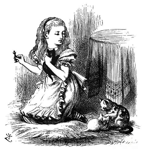 Carroll Looking Glass By Granger Alice In Wonderland Illustrations