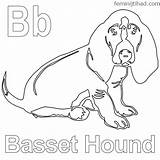 Basset Hound Sheets sketch template