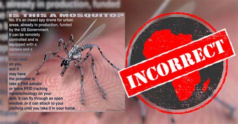 government   insect spy drones  spy  people africa check