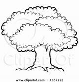 Tree Canopy Lush Illustration Mature Clip Outlined Vector Royalty Lal Perera Clipart sketch template