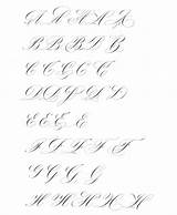 Dear Copperplate Variations Alphabet Capitals Instagram источник sketch template