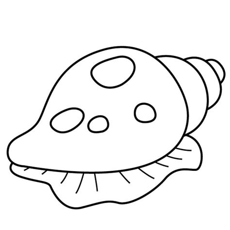 shells colouring clipart